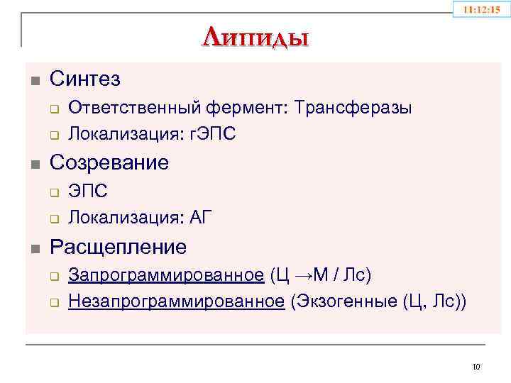 Липиды n Синтез q q n Созревание q q n Ответственный фермент: Трансферазы Локализация: