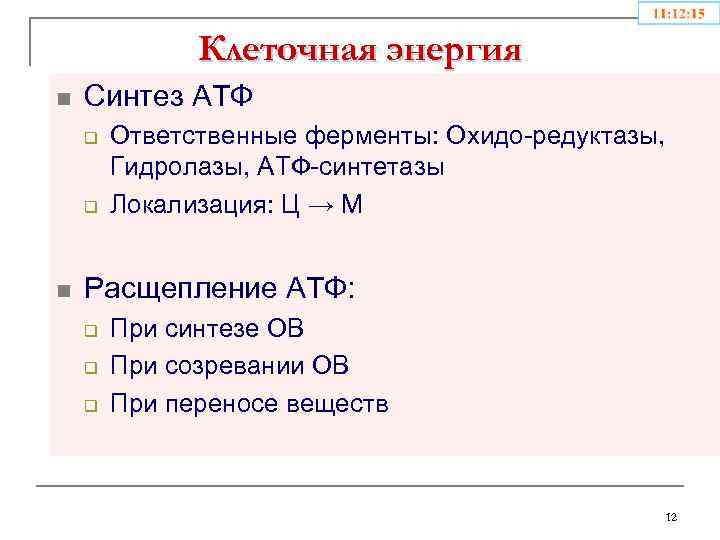 Клеточная энергия n Синтез АТФ q q n Ответственные ферменты: Охидо-редуктазы, Гидролазы, АТФ-синтетазы Локализация: