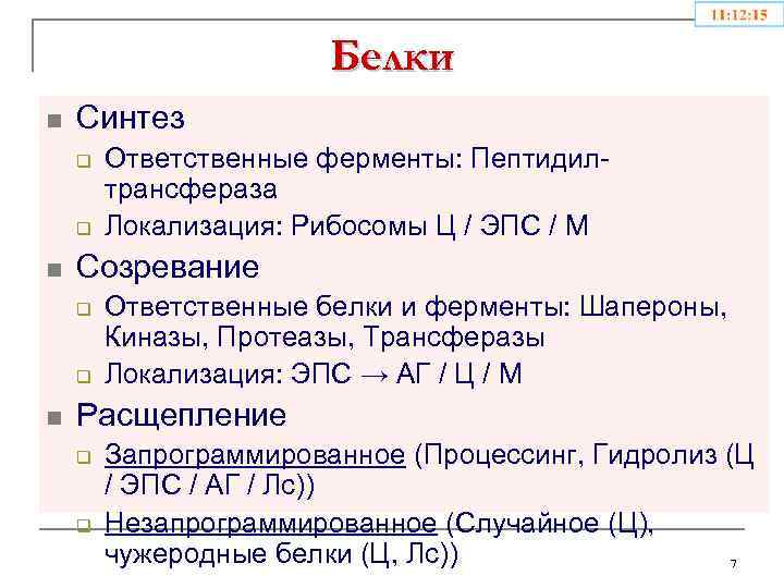 Белки n Синтез q q n Созревание q q n Ответственные ферменты: Пептидилтрансфераза Локализация: