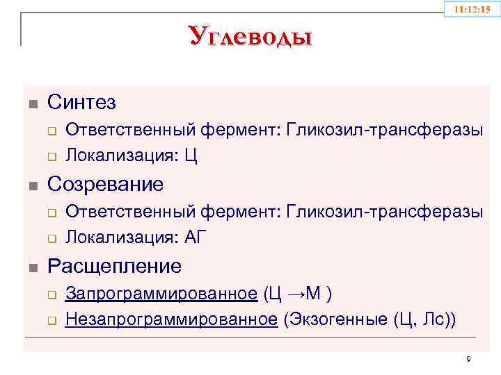Углеводы n Синтез q q n Созревание q q n Ответственный фермент: Гликозил-трансферазы Локализация: