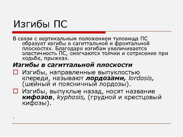 Изгибы ПС В связи с вертикальным положением туловища ПС образует изгибы в сагиттальной и