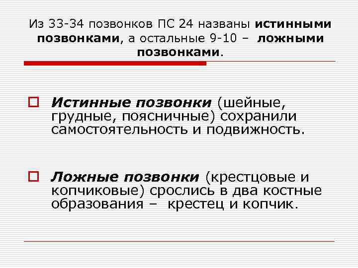 Из 33 -34 позвонков ПС 24 названы истинными позвонками, а остальные 9 -10 –