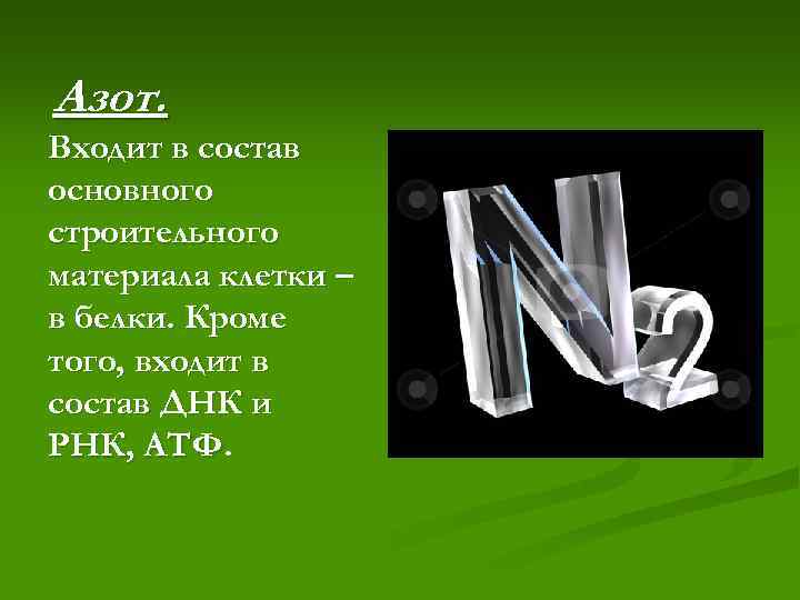 Азот. Входит в состав основного строительного материала клетки – в белки. Кроме того, входит