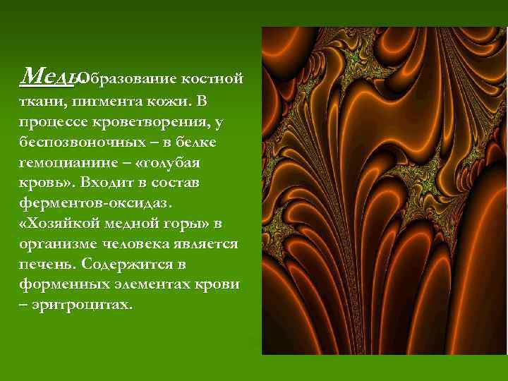 Медь. Образование костной ткани, пигмента кожи. В процессе кроветворения, у беспозвоночных – в белке