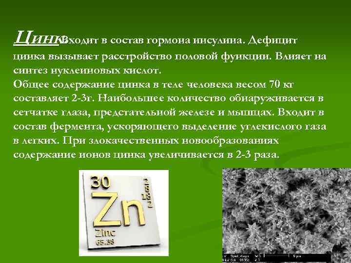 Цинк. Входит в состав гормона инсулина. Дефицит цинка вызывает расстройство половой функции. Влияет на