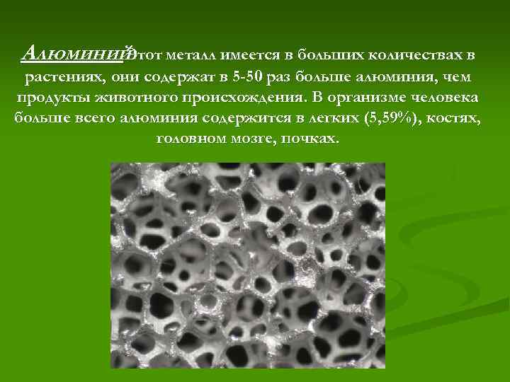 Алюминий. металл имеется в больших количествах в Этот растениях, они содержат в 5 -50