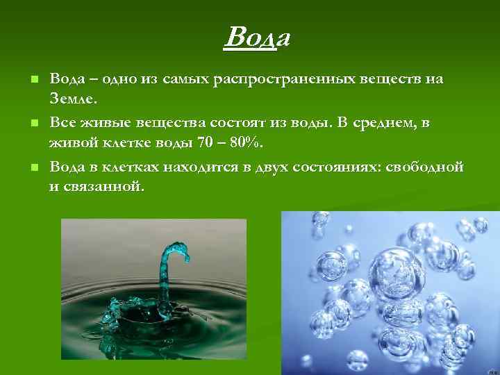 Вода n n n Вода – одно из самых распространенных веществ на Земле. Все