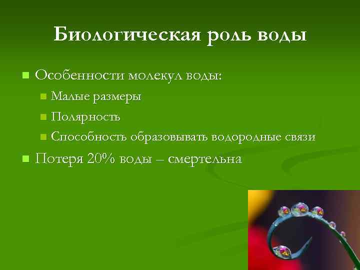 Биологическая роль воды n Особенности молекул воды: Малые размеры n Полярность n Способность образовывать