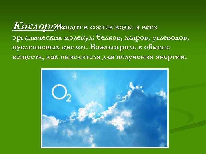 Кислород. Входит в состав воды и всех органических молекул: белков, жиров, углеводов, нуклеиновых кислот.