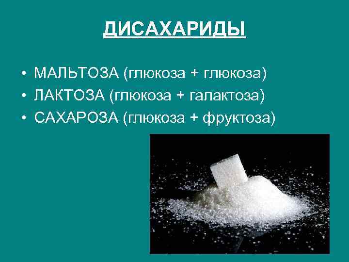 ДИСАХАРИДЫ • МАЛЬТОЗА (глюкоза + глюкоза) • ЛАКТОЗА (глюкоза + галактоза) • САХАРОЗА (глюкоза