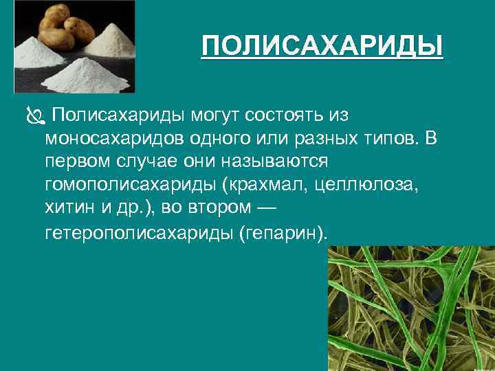 ПОЛИСАХАРИДЫ Ï Полисахариды могут состоять из моносахаридов одного или разных типов. В первом случае