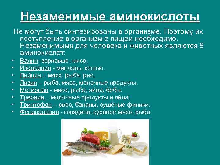 Незаменимые аминокислоты Не могут быть синтезированы в организме. Поэтому их поступление в организм с