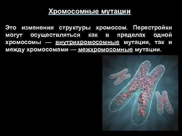 Изменение строения хромосом. Изменение структуры хромосом. Мутации хромосом. Заболевания связанные с изменением структуры хромосом.