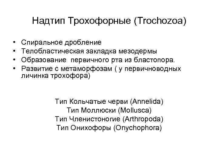 Надтип Трохофорные (Trochozoa) • • Спиральное дробление Телобластическая закладка мезодермы Образование первичного рта из