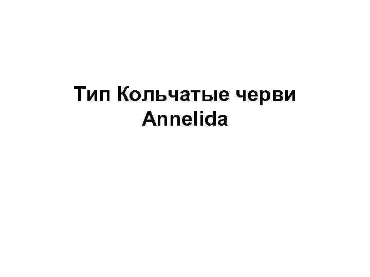  Тип Кольчатые черви Annelida 