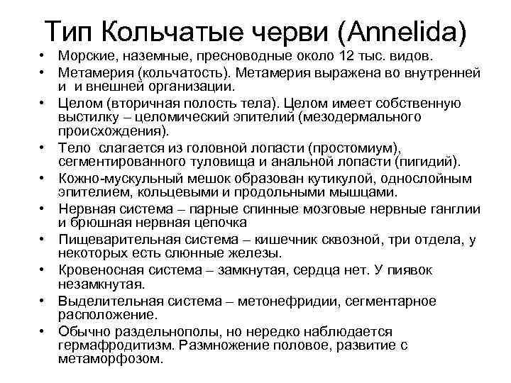 Тип Кольчатые черви (Annelida) • Морские, наземные, пресноводные около 12 тыс. видов. • Метамерия