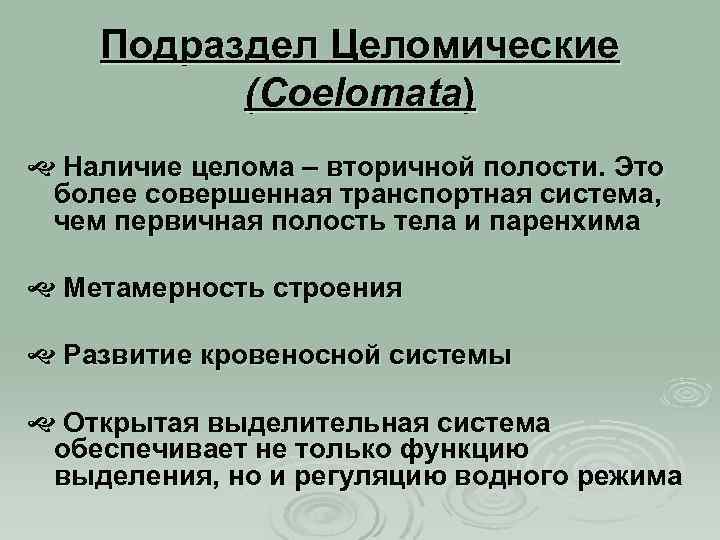 Подраздел Целомические (Coelomata) Наличие целома – вторичной полости. Это более совершенная транспортная система, чем