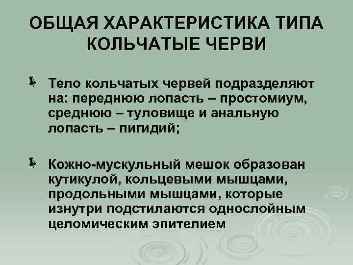 ОБЩАЯ ХАРАКТЕРИСТИКА ТИПА КОЛЬЧАТЫЕ ЧЕРВИ ë Тело кольчатых червей подразделяют на: переднюю лопасть –