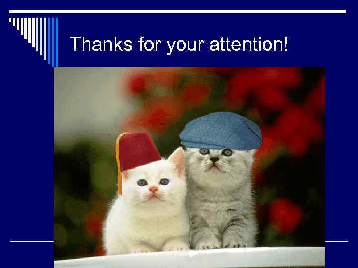 Thanks for your attention! 