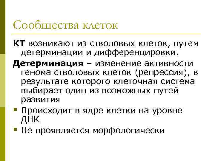 Сообщества клеток КТ возникают из стволовых клеток, путем детерминации и дифференцировки. Детерминация – изменение