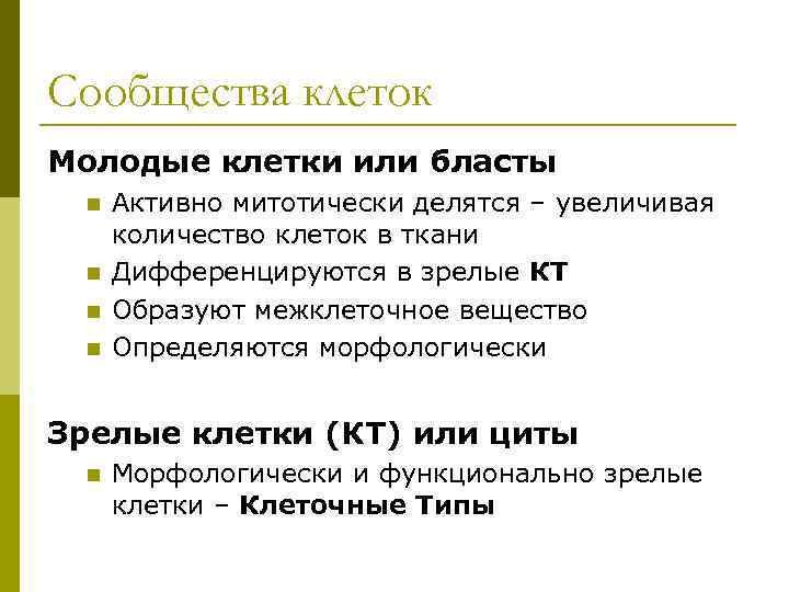 Сообщества клеток Молодые клетки или бласты n n Активно митотически делятся – увеличивая количество