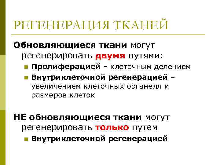 РЕГЕНЕРАЦИЯ ТКАНЕЙ Обновляющиеся ткани могут регенерировать двумя путями: n n Пролиферацией – клеточным делением