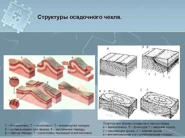 Структуры осадочного чехла. 1 – Антиклиналь; 2 – синклиналь; 3 – опрокинутая складка; 4