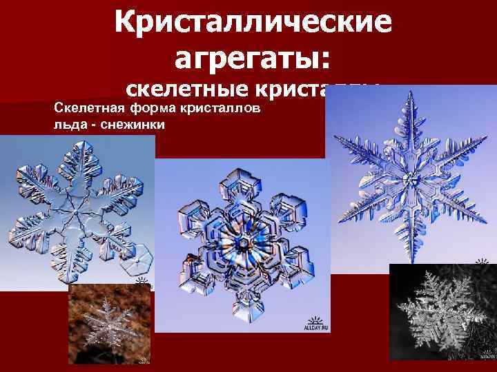 Кристаллические агрегаты: скелетные кристаллы Скелетная форма кристаллов льда - снежинки 