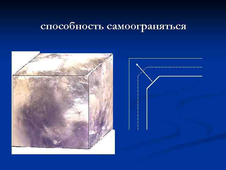 способность самоограняться 