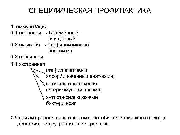 СПЕЦИФИЧЕСКАЯ ПРОФИЛАКТИКА 1. иммунизация 1. 1 плановая → беременные очищенный 1. 2 активная →