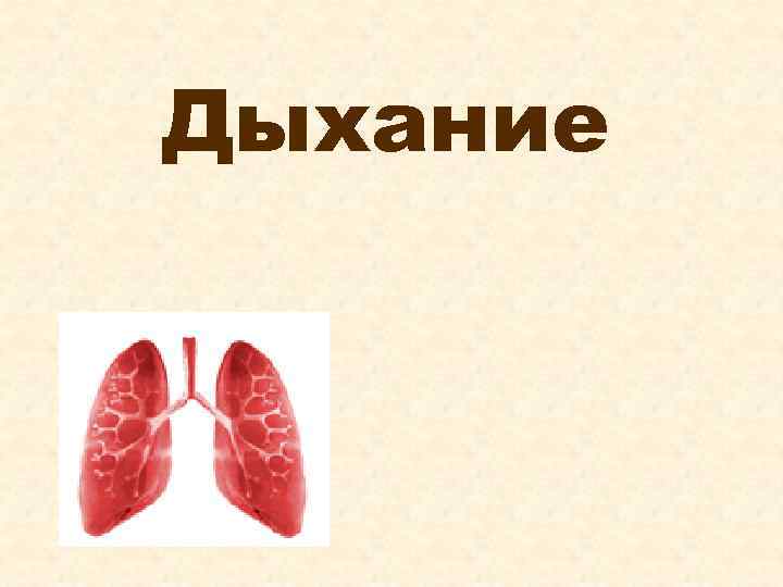 Дыхание 