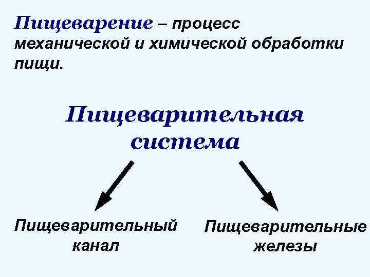 Пищеварение – процесс механической и химической обработки пищи. Пищеварительная система Пищеварительный канал Пищеварительные железы