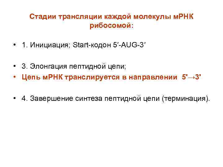 Стадии трансляции каждой молекулы м. РНК рибосомой: • 1. Инициация; Start-кодон 5’-AUG-3’ • 3.