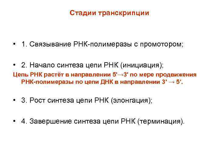 Стадии транскрипции • 1. Связывание РНК-полимеразы с промотором; • 2. Начало синтеза цепи РНК