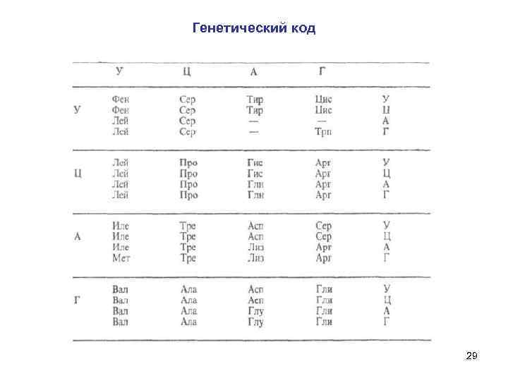 Генетический код 29 