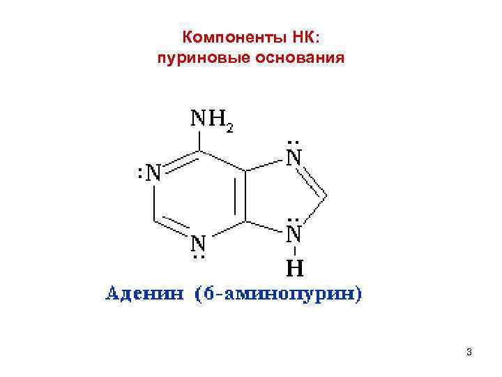 Компоненты НК: пуриновые основания 3 