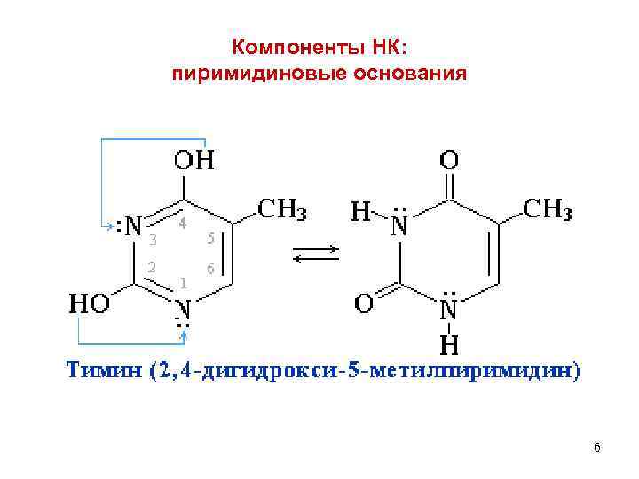 Компоненты НК: пиримидиновые основания 6 