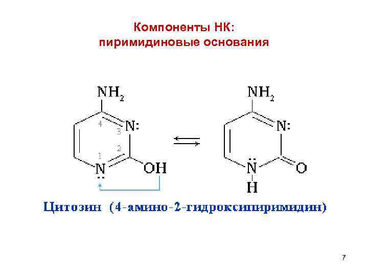 Компоненты НК: пиримидиновые основания 7 