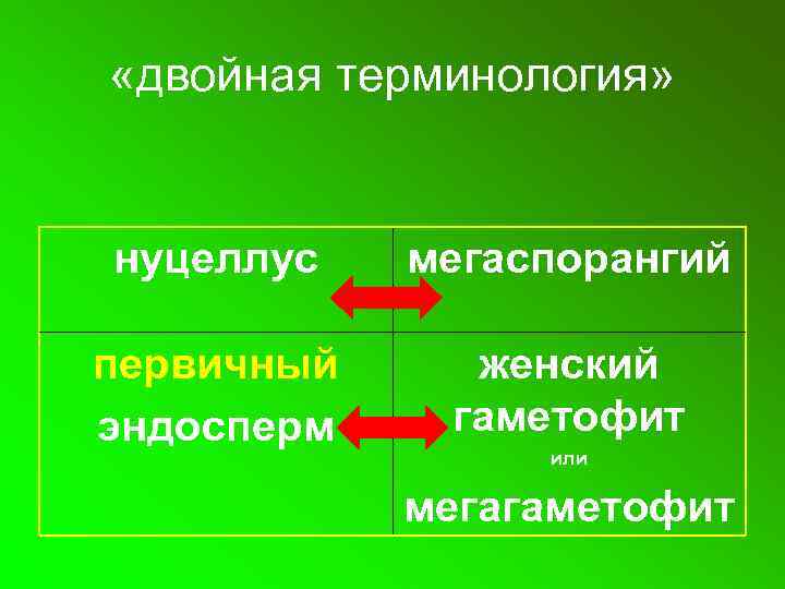  «двойная терминология» нуцеллус мегаспорангий первичный эндосперм женский гаметофит или мегагаметофит 