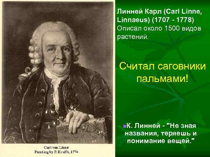 Линней Карл (Carl Linne, Linnaeus) (1707 - 1778) Описал около 1500 видов растений. Считал