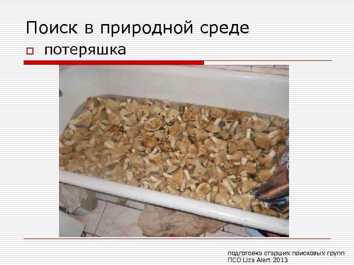 Поиск в природной среде o потеряшка подготовка старших поисковых групп ПСО Liza Alert 2013