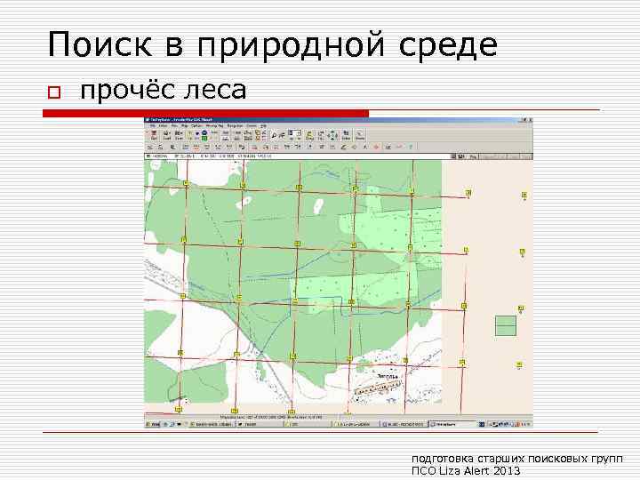 Поиск в природной среде o прочёс леса подготовка старших поисковых групп ПСО Liza Alert