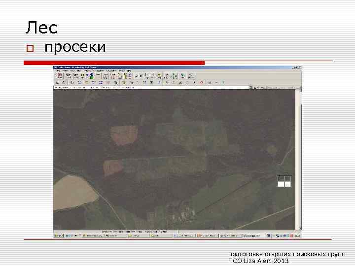 Лес o просеки подготовка старших поисковых групп ПСО Liza Alert 2013 