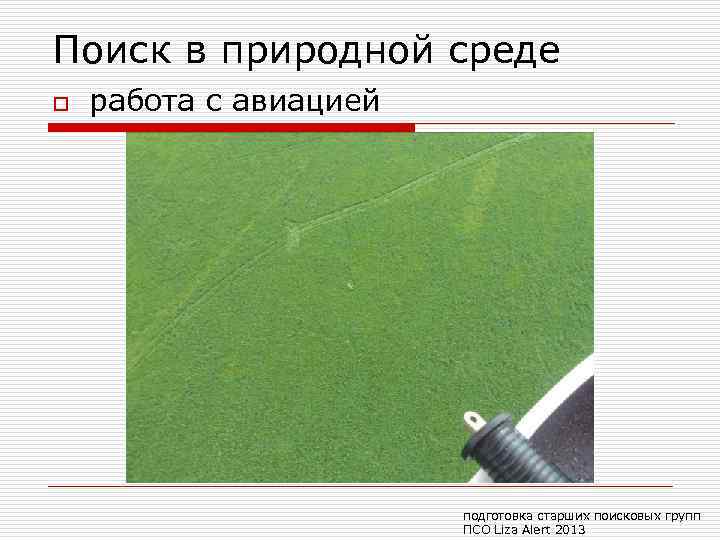Поиск в природной среде o работа с авиацией подготовка старших поисковых групп ПСО Liza