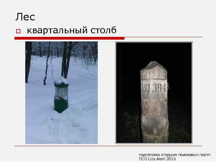 Лес o квартальный столб подготовка старших поисковых групп ПСО Liza Alert 2013 