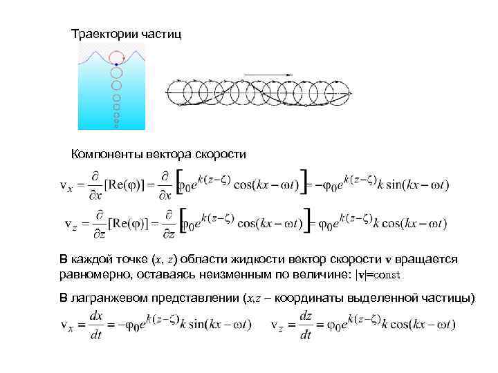  Траектории частиц Компоненты вектора скорости В каждой точке (x, z) области жидкости вектор