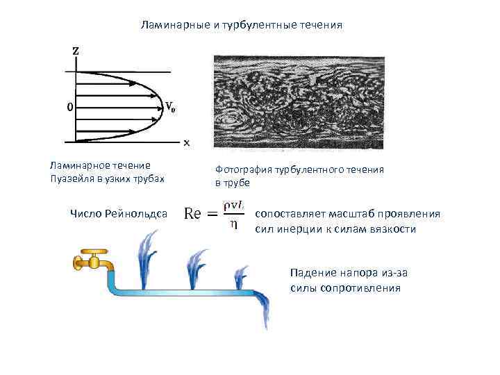 Ламинарные и турбулентные течения Ламинарное течение Пуазейля в узких трубах Число Рейнольдса Фотография турбулентного
