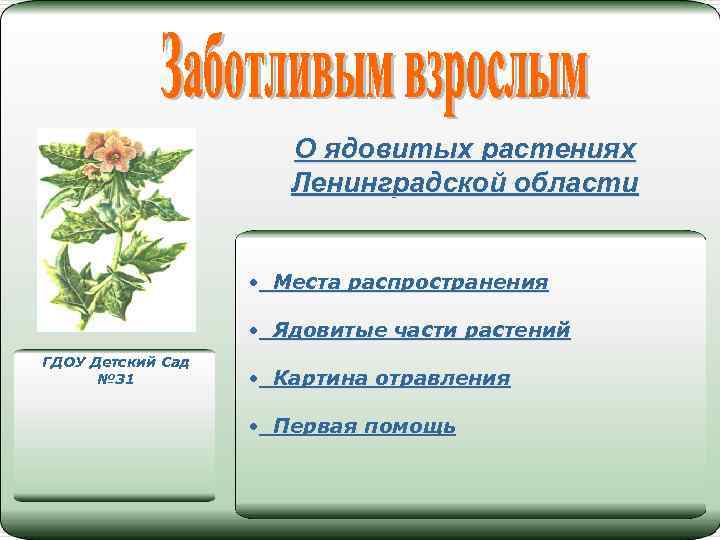 Ядовитые растения ленинградской области презентация для детей