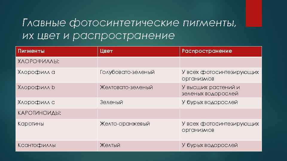 Главные фотосинтетические пигменты, их цвет и распространение Пигменты Цвет Распространение Хлорофилл а Голубовато-зеленый У