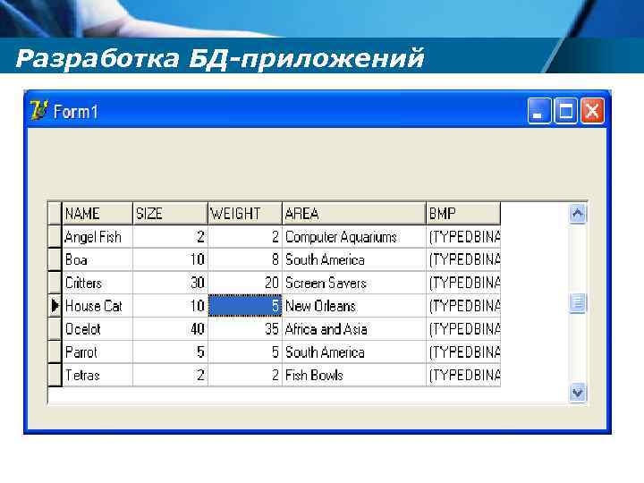 Разработка БД-приложений 